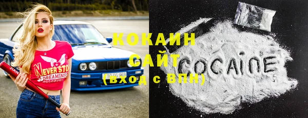 ГАЛЛЮЦИНОГЕННЫЕ ГРИБЫ Ладушкин