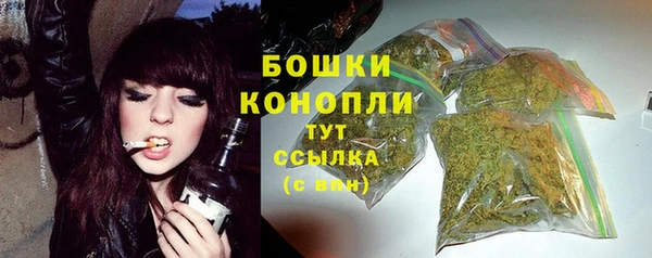 ГАЛЛЮЦИНОГЕННЫЕ ГРИБЫ Ладушкин