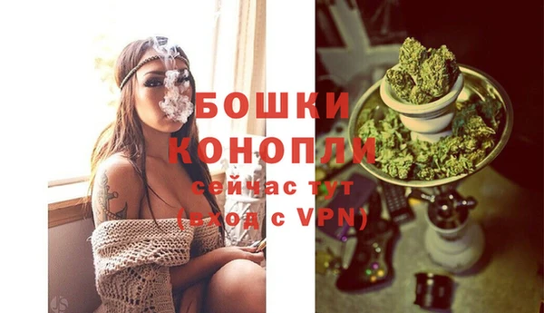 ГАЛЛЮЦИНОГЕННЫЕ ГРИБЫ Ладушкин