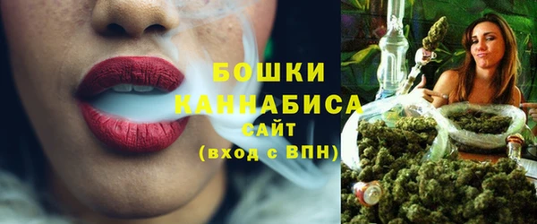 ГАЛЛЮЦИНОГЕННЫЕ ГРИБЫ Ладушкин