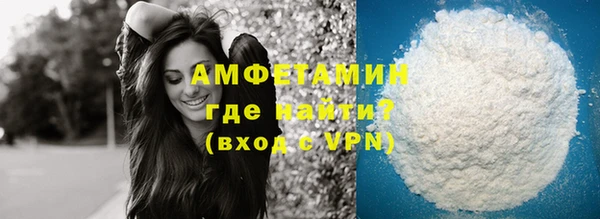 индика Никольск